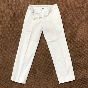 Ann Taylor Dress pant
